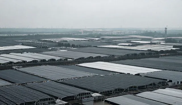 网站建设中信息更新对用户体验的影响与优化建议